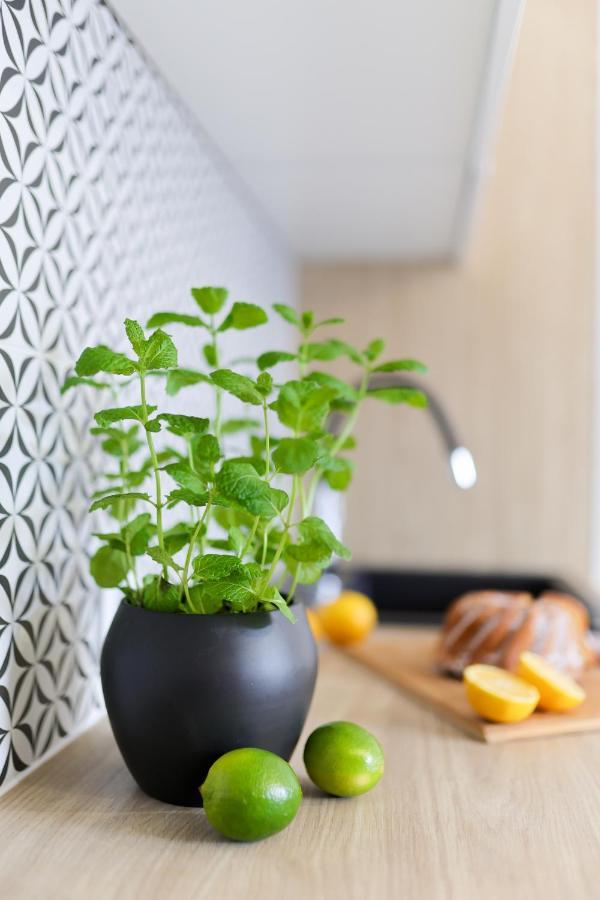 Apartamenty Meiera Kraków Exteriör bild